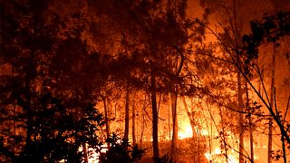 Εικόνα από τις φλόγες που κατέστρεψαν το δάσος στο Σεβέν