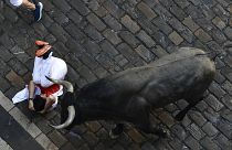 Molti partecipanti finiscono sotto gli zoccoli dei tori durante le corse di San Fermín