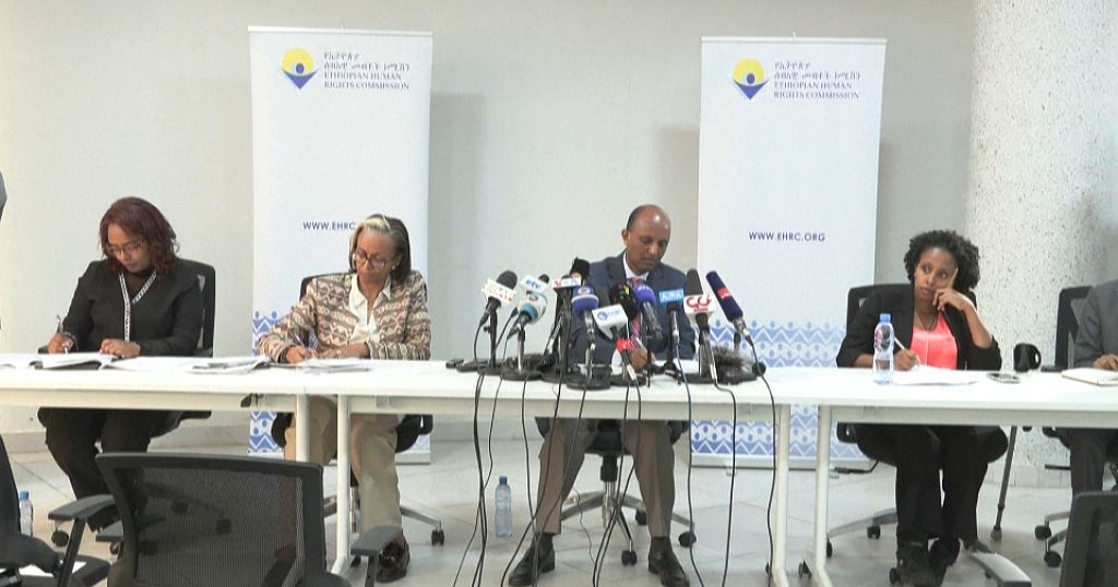 Ethiopia rights chief slams violations by security forces, armed groups - Vimarsana News