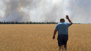 Ein Landwirt betrachtet sein brennendes Feld wegen der Kämpfe an der Front in der Region Dnipropetrowsk