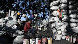 Outrun by gas prices, Kenyan families turn to charcoal to cook 