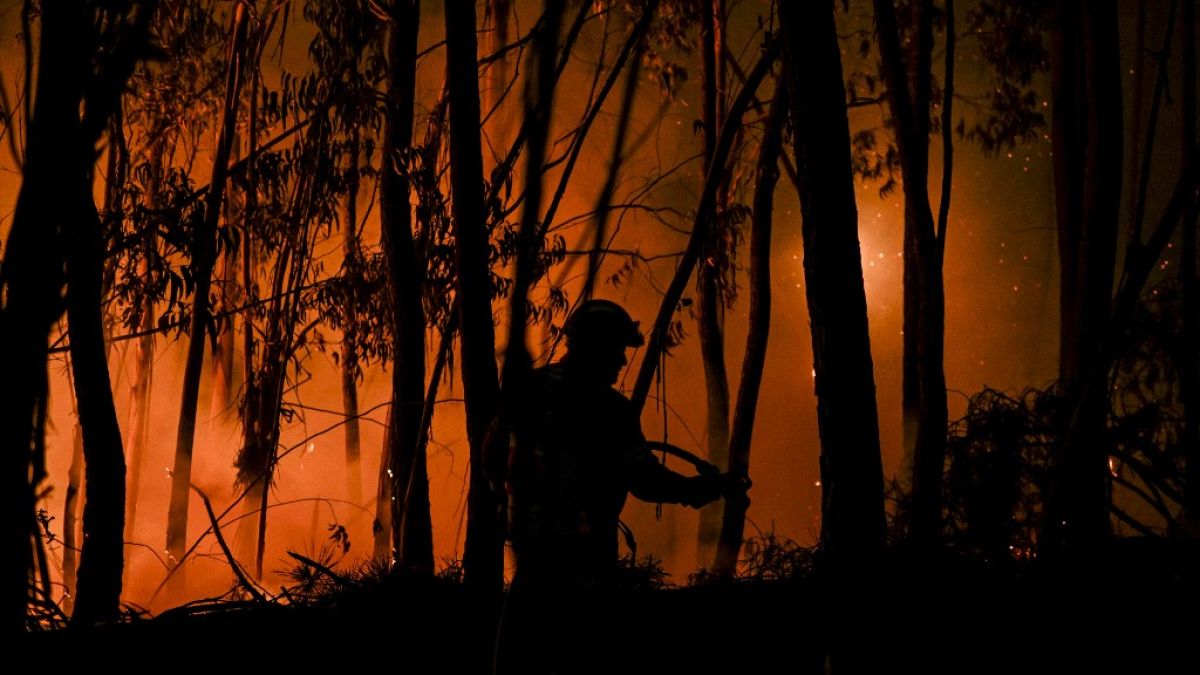Un pompier combattant un incendie de forêt à Casais do Vento, à Alvaiazere, le 10 juillet 2022. 