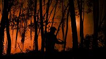 Hitzewelle und Waldbrände: Die Regierung in Portugal hat den Notstand ausgerufen.