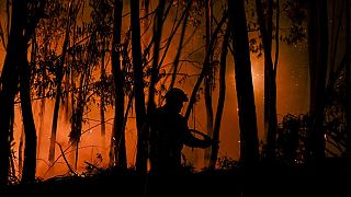 Un pompier combattant un incendie de forêt à Casais do Vento, à Alvaiazere, le 10 juillet 2022. 