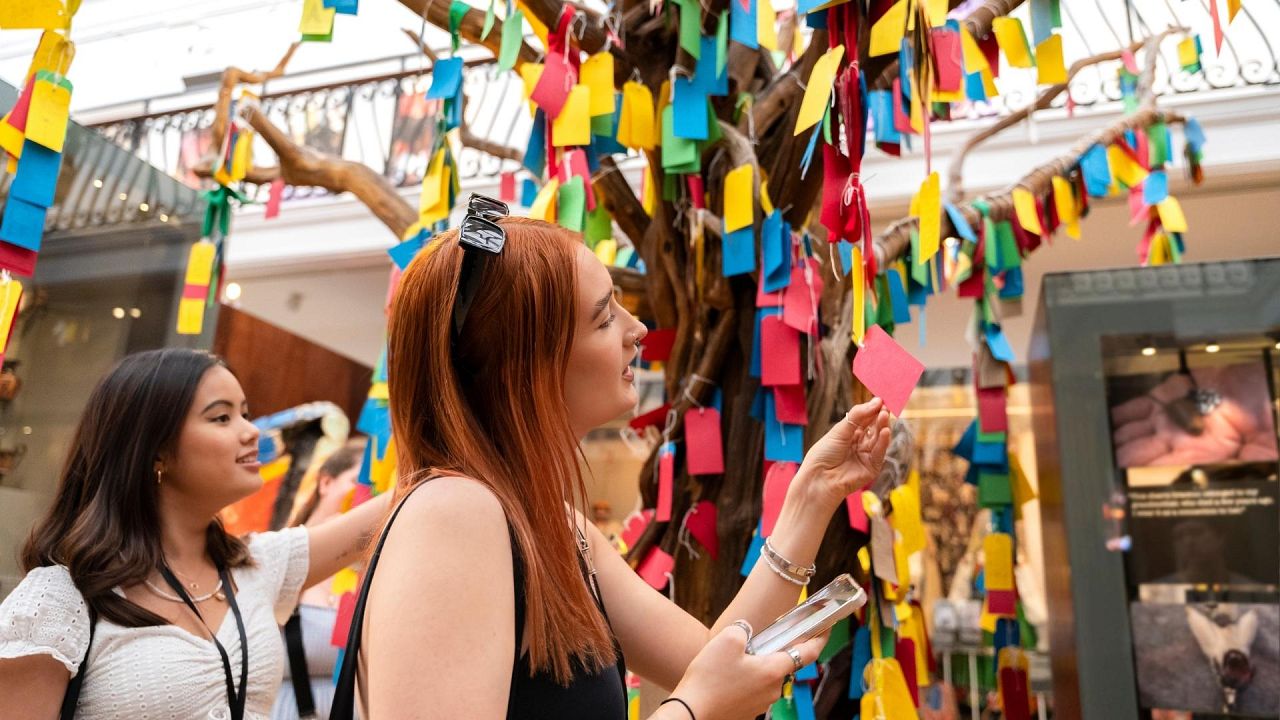 News | Culture | Euronews