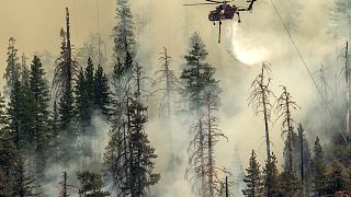 Вертолет сбрасывает воду на деревья в Йосемитском национальном парке. Калифорния, США. 9 июля 2022