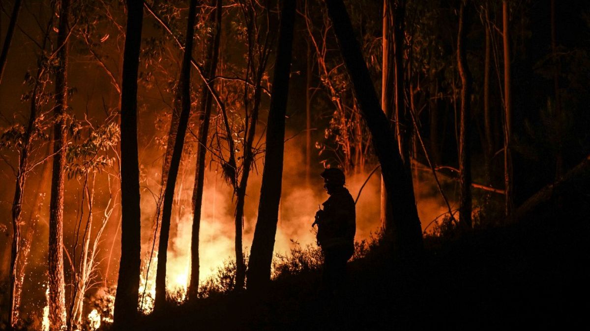 A Portuguese firefighter battles a wildfire at Casais do Vento in Alvaiazere.