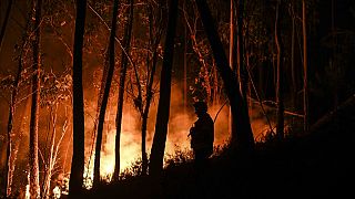 A Portuguese firefighter battles a wildfire at Casais do Vento in Alvaiazere.