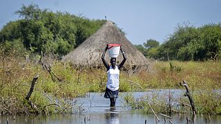 Le Soudan du Sud suspend le dragage d'une rivière et de zones humides