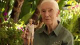 A handout picture shows primatologist Jane Goodall posing with the new Jane Goodall Barbie doll, in Los Angeles, U.S., April 2022.