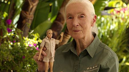 A handout picture shows primatologist Jane Goodall posing with the new Jane Goodall Barbie doll, in Los Angeles, U.S., April 2022. 