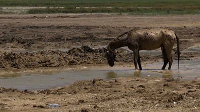 Water levels are dwindling in reservoirs in Nuevo León state, Mexico Water levels are dwindling in reservoirs in Nuevo León state, Mexico