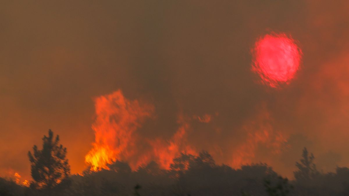 Incêndio em Quebrada de Baixo, freguesia de Freixianda, concelho de Ourém, 09 de julho de 2022