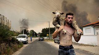Κτηνοτρόφος απομακρύνει πρόβατο από χωριό που φλέγεται