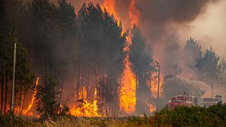 Incendio forestal cerca de Landiras, suroeste de Francia, el miércoles 13 de julio de 2022