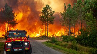İtfaiye ekipleri Fransa'nın güneybatısındaki orman yangınlarını kontrol eltına almakta zorlanıyor