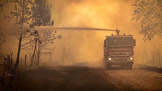 A firefighter truck spraying liquid on a forest wildfire near Landiras, southwestern France on 14 July 2022