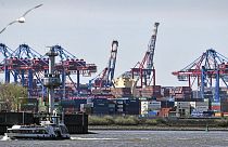 Hamburg Limanı