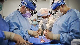 Surgeons prepare the pig heart for transplantation.