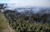 A wildfire burns through vegetation in Landiras, southwestern France, on July 13, 2022.