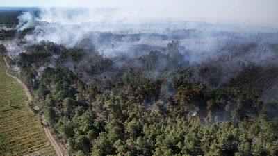 A wildfire burns through vegetation in Landiras, southwestern France, on July 13, 2022.