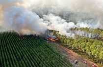 Ein Waldbrand bei Landiras in der Gironde an diesem Mittwoch