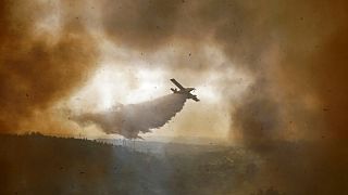 Avião combate as chamas em Portugal