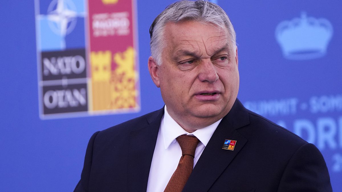 Hungarian Prime Minister Viktor Orban has criticised EU sanctions on Russian energy exports.