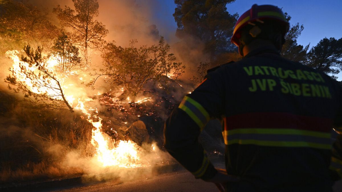 Tűzoltók próbálják megfékezni az erdőtüzet Zatonnál