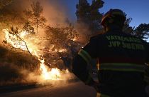 Un pompier devant un feu de forêt, à Zaton, en Croatie, mercredi 13 juillet 2022. 