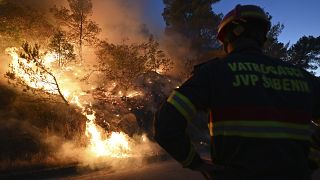 Un pompier devant un feu de forêt, à Zaton, en Croatie, mercredi 13 juillet 2022.