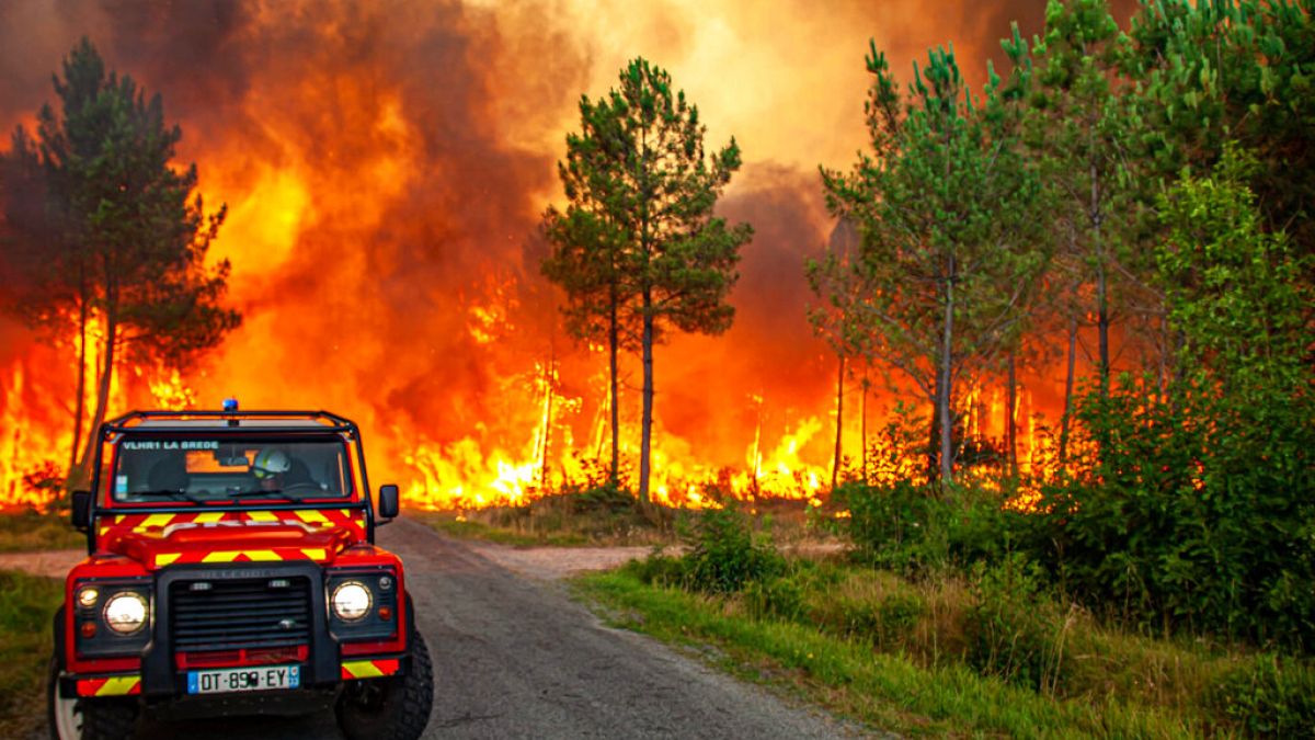 Cette photo fournie par les pompiers de la Gironde (SDIS33) montre un feu de forêt près de Landiras, dans le sud-ouest de la France, mercredi 13 juillet. 