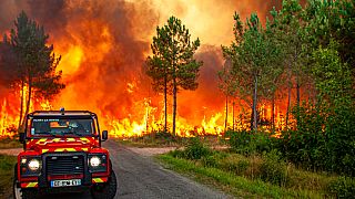 Cette photo fournie par les pompiers de la Gironde (SDIS33) montre un feu de forêt près de Landiras, dans le sud-ouest de la France, mercredi 13 juillet.