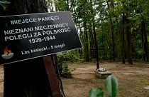 یک قبر نمادین در محل کشف خاکستر اجساد هشت‌هزار قربانی نازی‌ها در لهستان