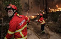 Bombeiros combatem um incêndio que lavra na freguesia da Boa Vista, Leiria, 12 de julho de 2022.