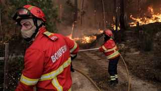 Bombeiros combatem um incêndio que lavra na freguesia da Boa Vista, Leiria, 12 de julho de 2022.