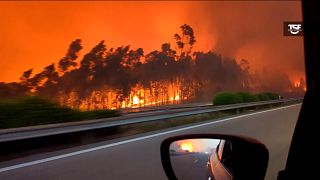 Car drives through violent wildfire in Portugal, as country wilts under heatwave