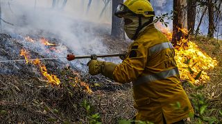 Um sapador florestal combate as chamas junto à aldeia de Rebolo, Pombal, Portugal