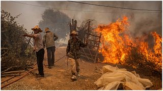 يحاول السكان المحليون إطفاء حرائق صغيرة في قرية بالقرب من حريق غابات برية في منطقة القصر الصغير شمال المغرب- 14 يوليو 2022.