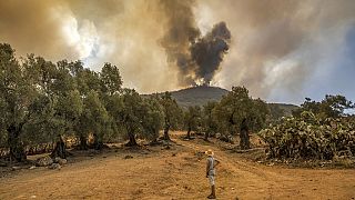 Des incendies frappent le nord du Maroc