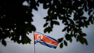 پرچم کره شمالی