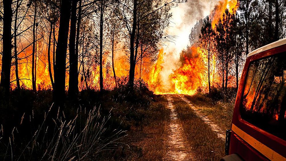 France faces raging wildfires and second heatwave of the summer