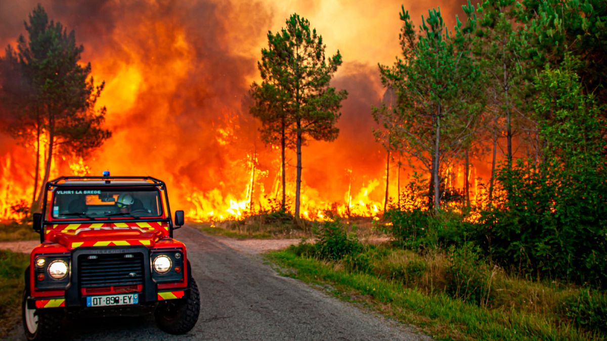 Questa foto, fornita venerdì 15 luglio 2022 dai Vigili del Fuoco della regione della Gironda, mostra un incendio vicino a Landiras, sud-ovest della Francia. 