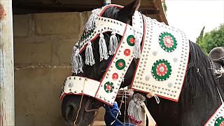 Northern Nigeria stages horse parade to mark Eid al-Adha