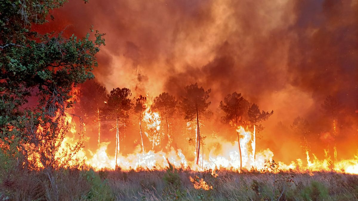 Cette photo fournie vendredi 15 juillet 2022 par les pompiers de la Gironde montre un feu de forêt la veille près de Landiras, dans le sud-ouest de la France.