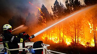 Пожарные тушат огонь в лесах Португалии