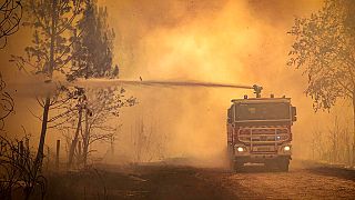 Los bomberos tratan de sofocar el fuego que calcina la provincia de Gironda en Francia