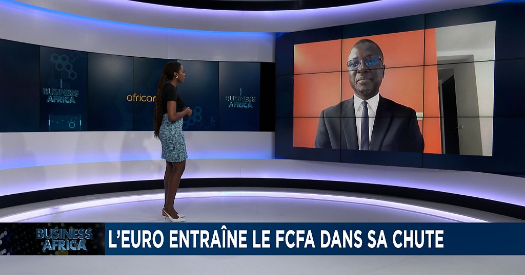 L'euro entraine le franc CFA dans sa chute [Business Africa]