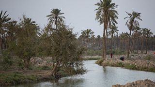صورة من الارشيف- شط العرب عند التقاء نهري دجلة والفرات بالقرب من البصرة جنوبي العراق