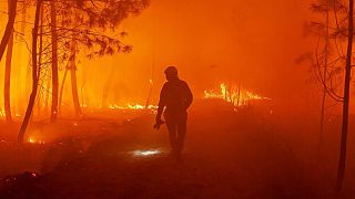 Firefighters fight wildfire near Landiras, southwestern France, Sunday July 17, 2022 .